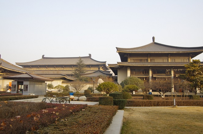 Tour Image
