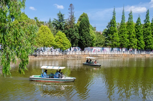 Small Image 1